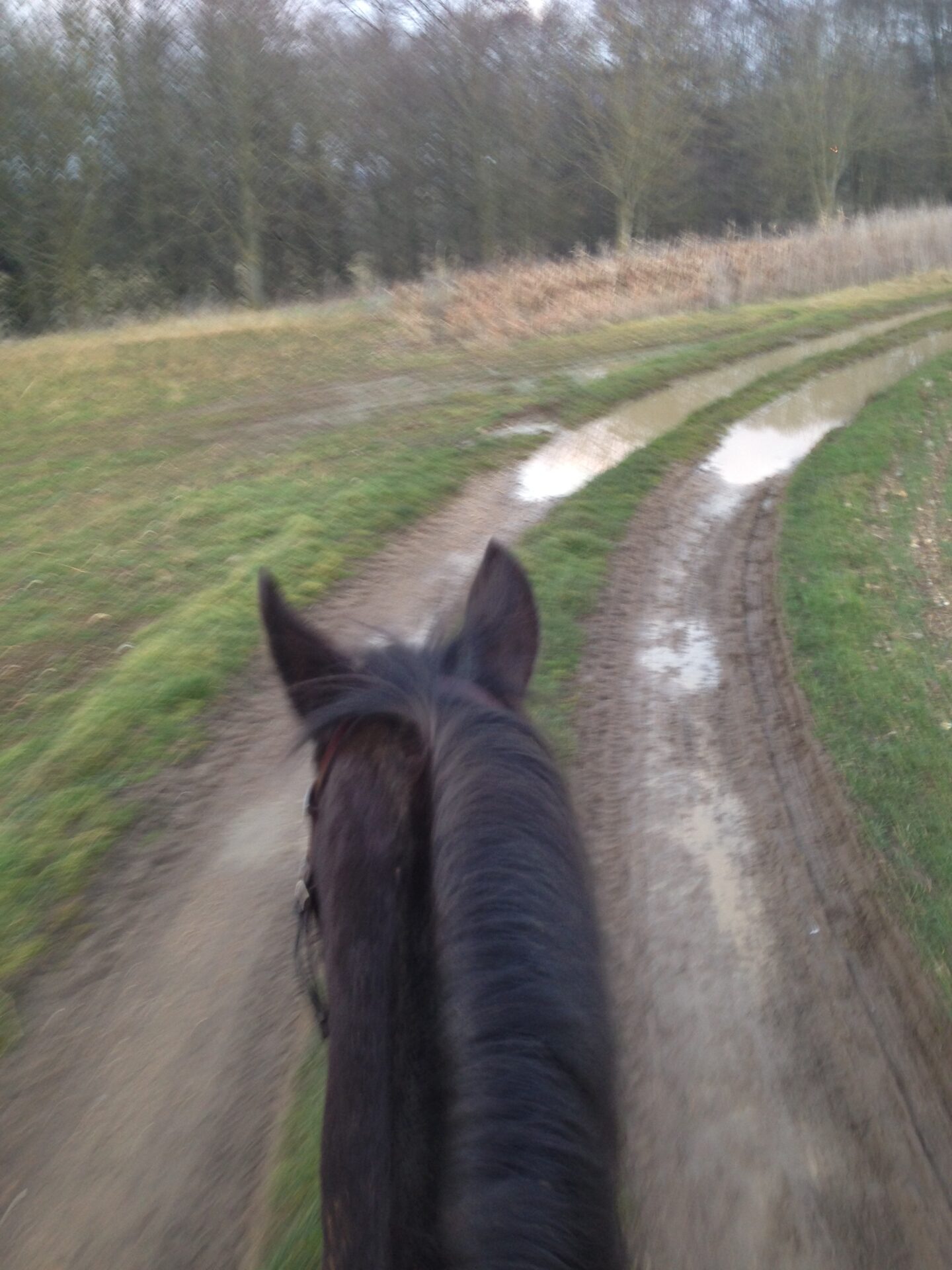 An early spring hack and a slice of sanity