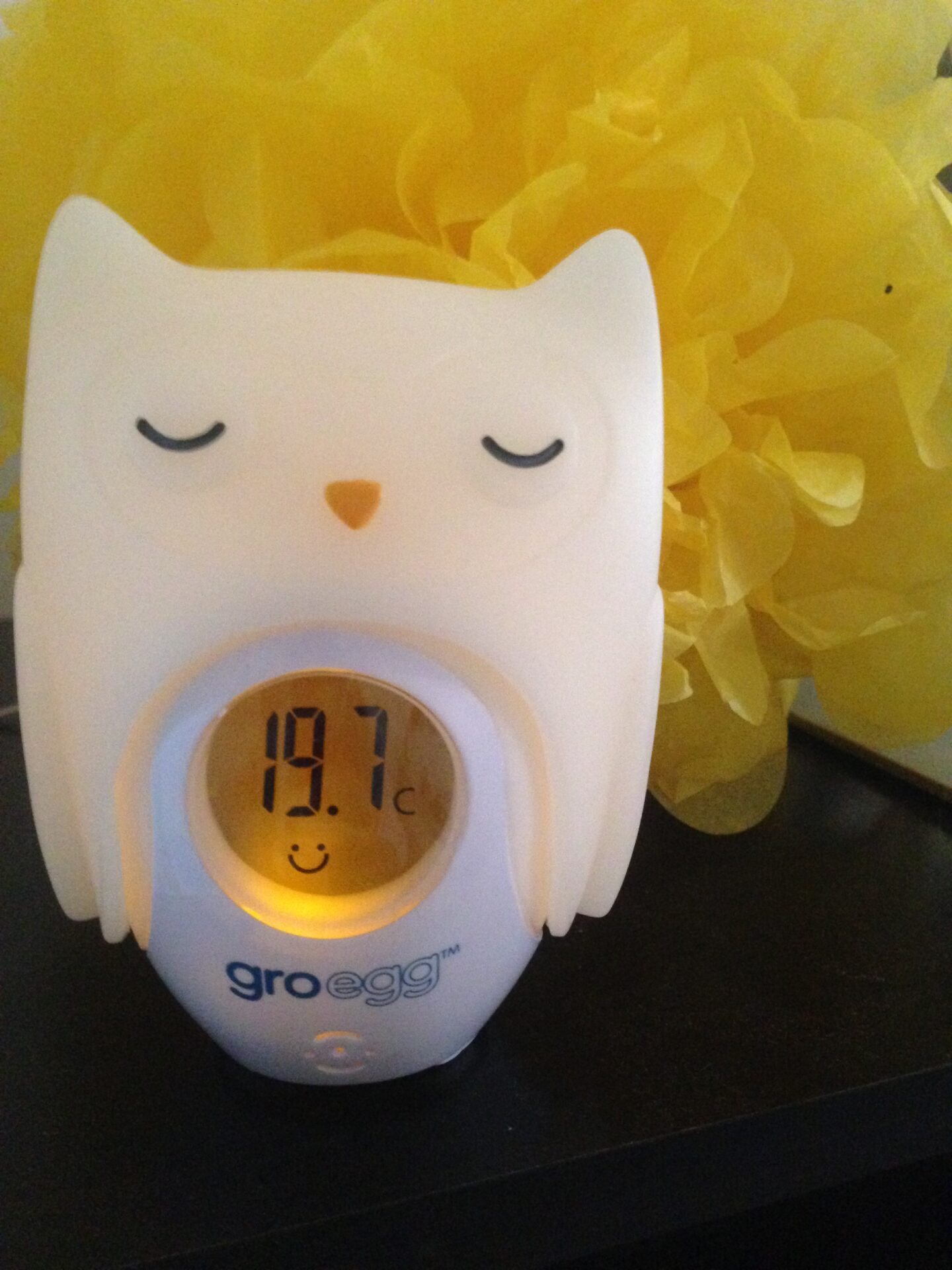 Lottie Loves: Gro-egg Room Thermometer
