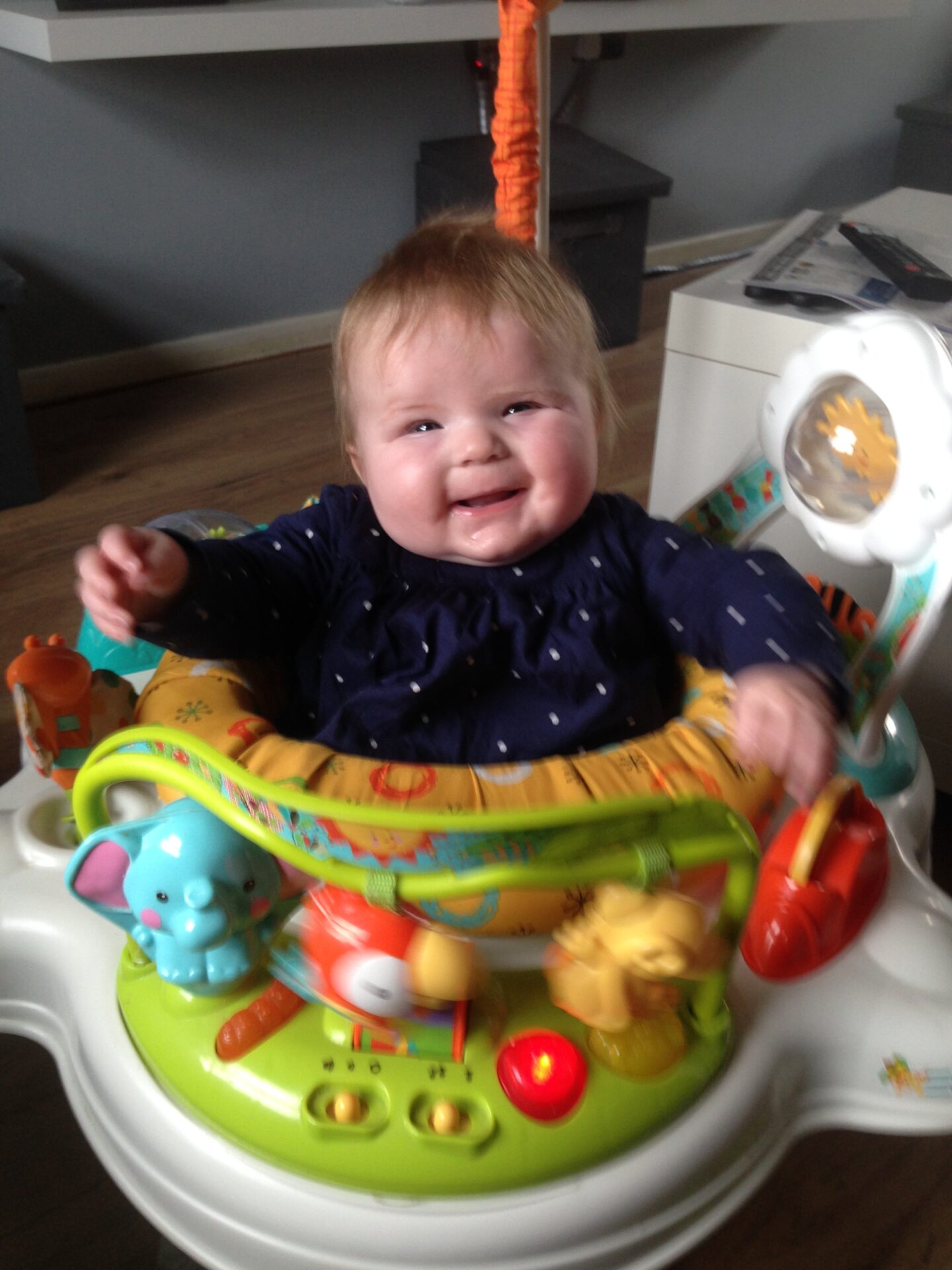 Happy days: A jumperoo and a chubby horse