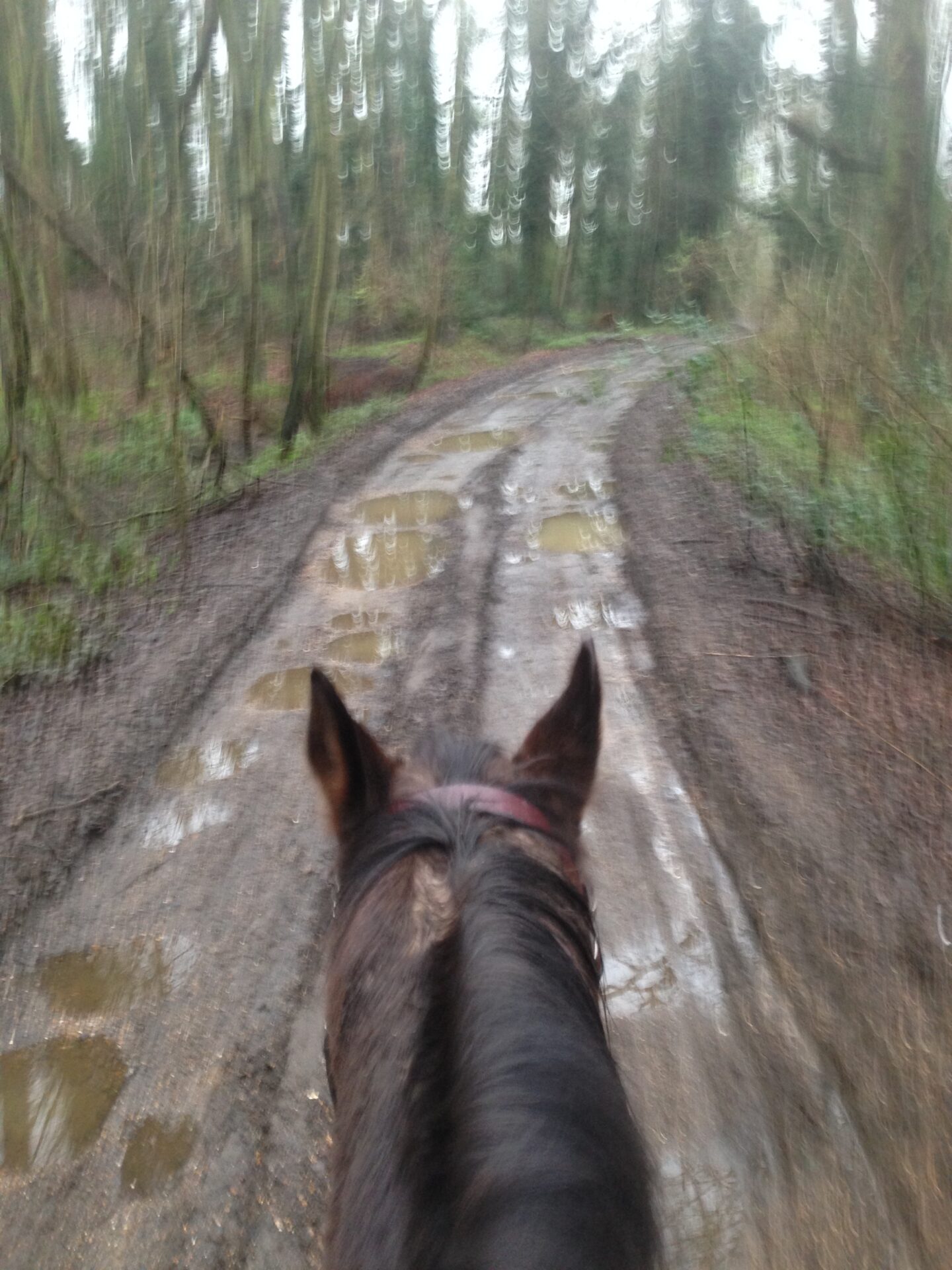 Happy days: A Sunday morning hack and family time