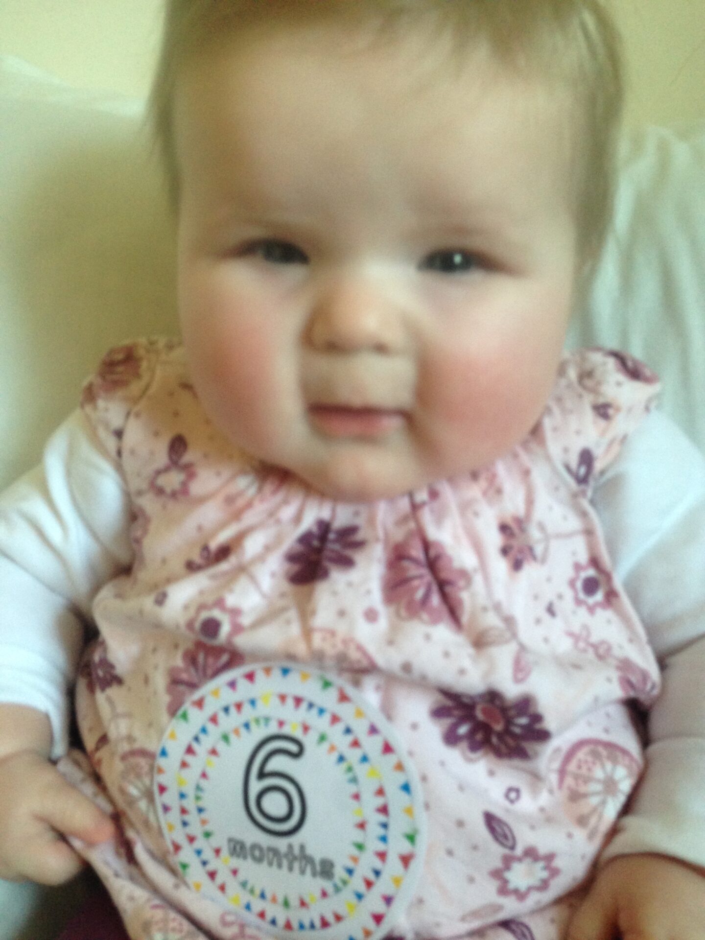Dear Lottie Bella: Six months old