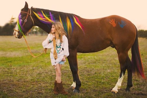 Horse with multicoloured mane