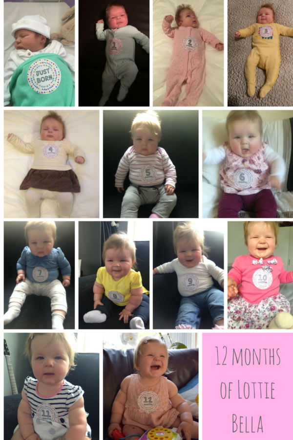 Photos of baby girl's first year