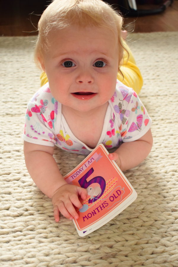 Baby lying on her tummy holding a card, which says 'today I am 5 months old
