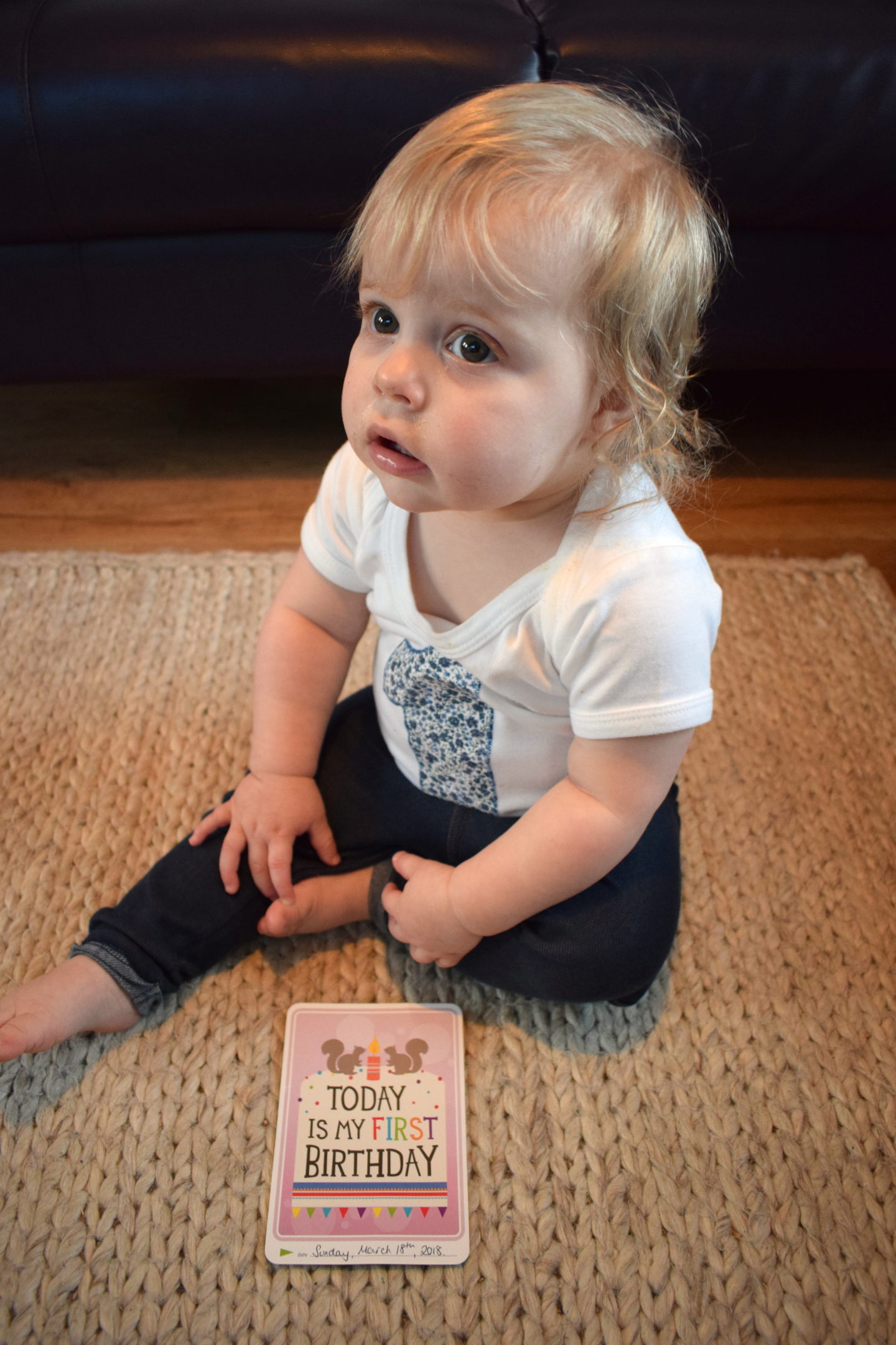 one year old girl, sitting, holding milestone card, reading today is my first birthday