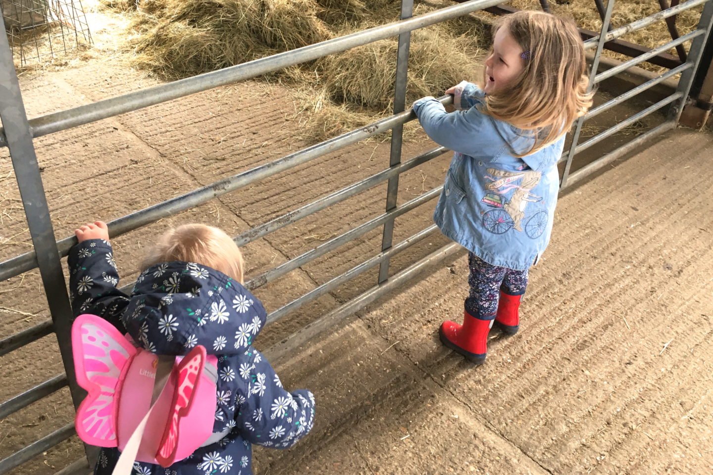 sisters standing together, looking into a farm pen