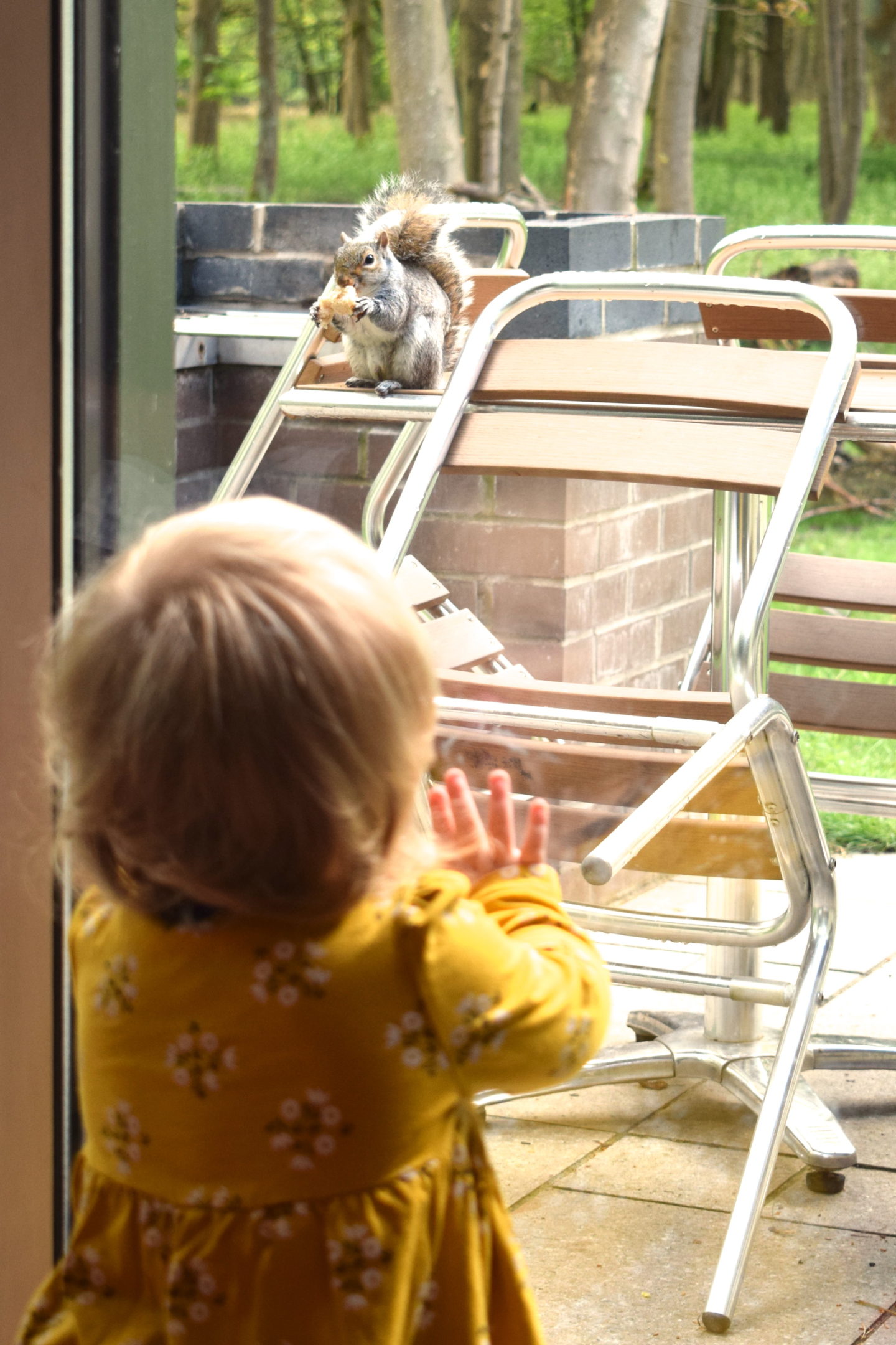 toddler looking out of the window at Center Parcs Elveden Forest