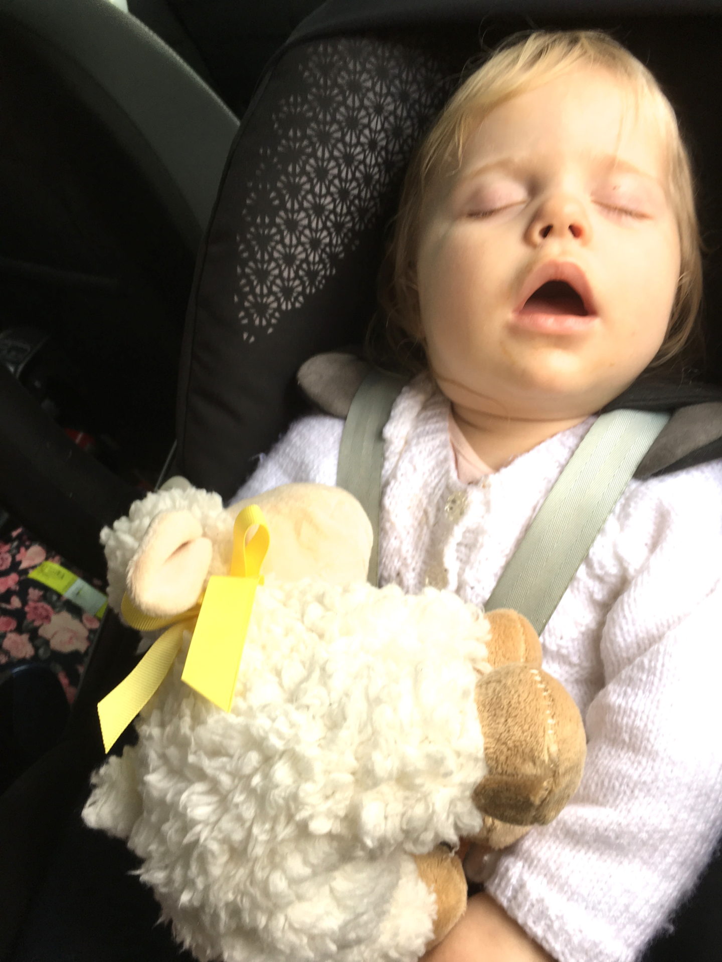 14 month old girl asleep in car seat holding toy lamb
