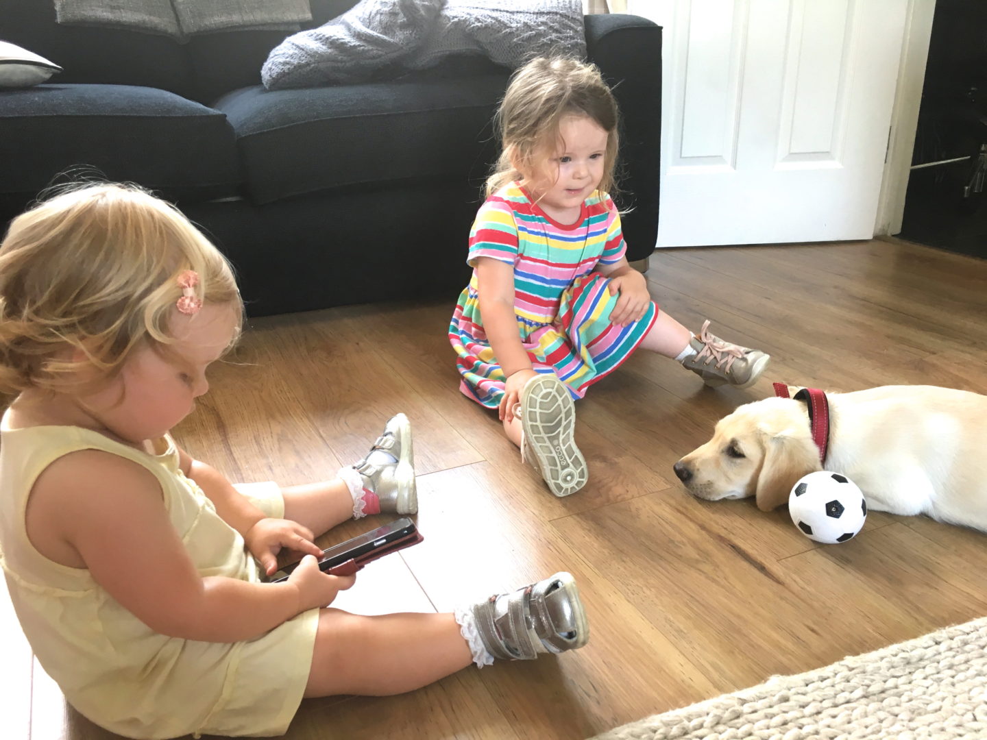 two sisters and a yellow labrador puppy sitting together on the floor