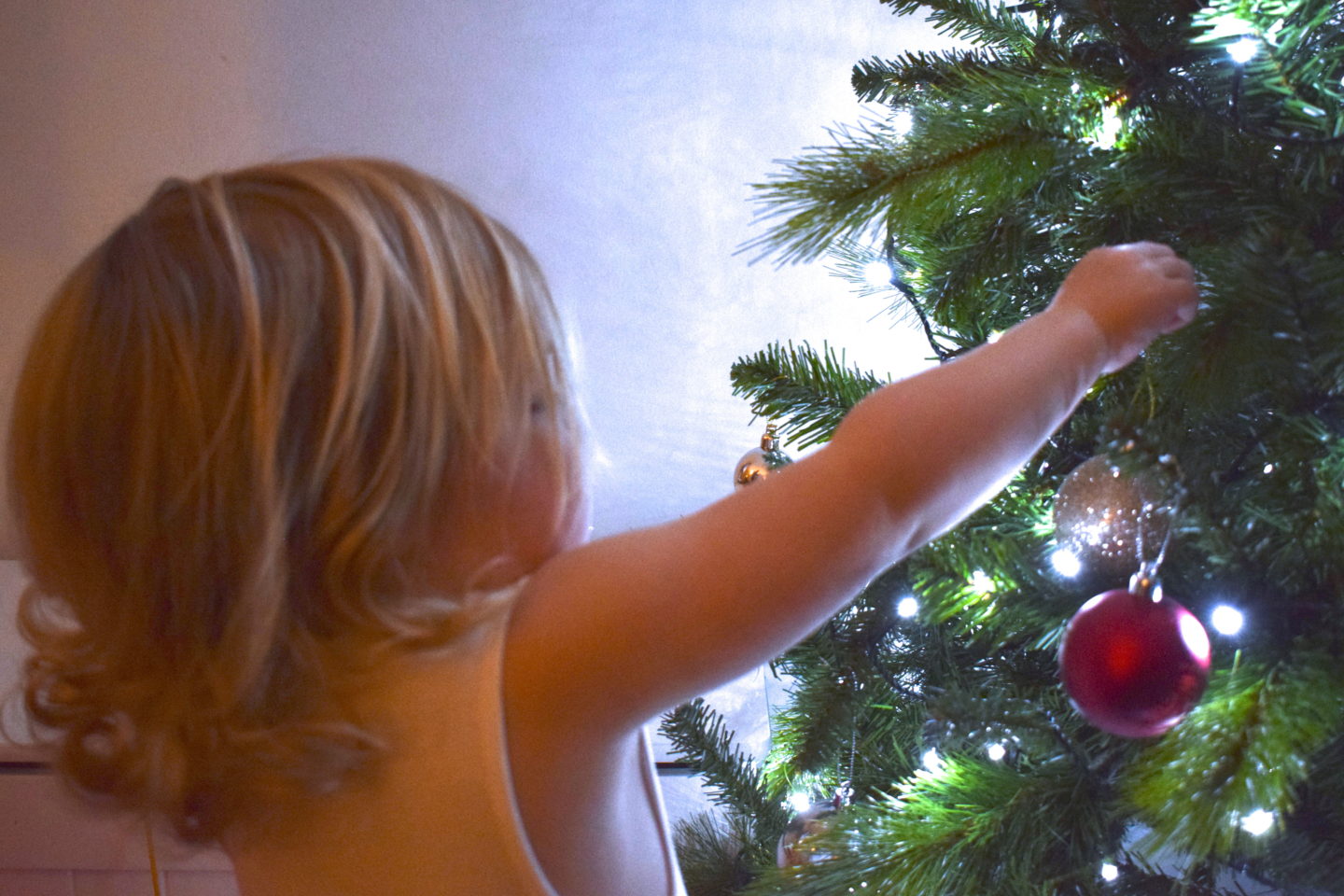 22 months old girl putting bauble on a christmas tree