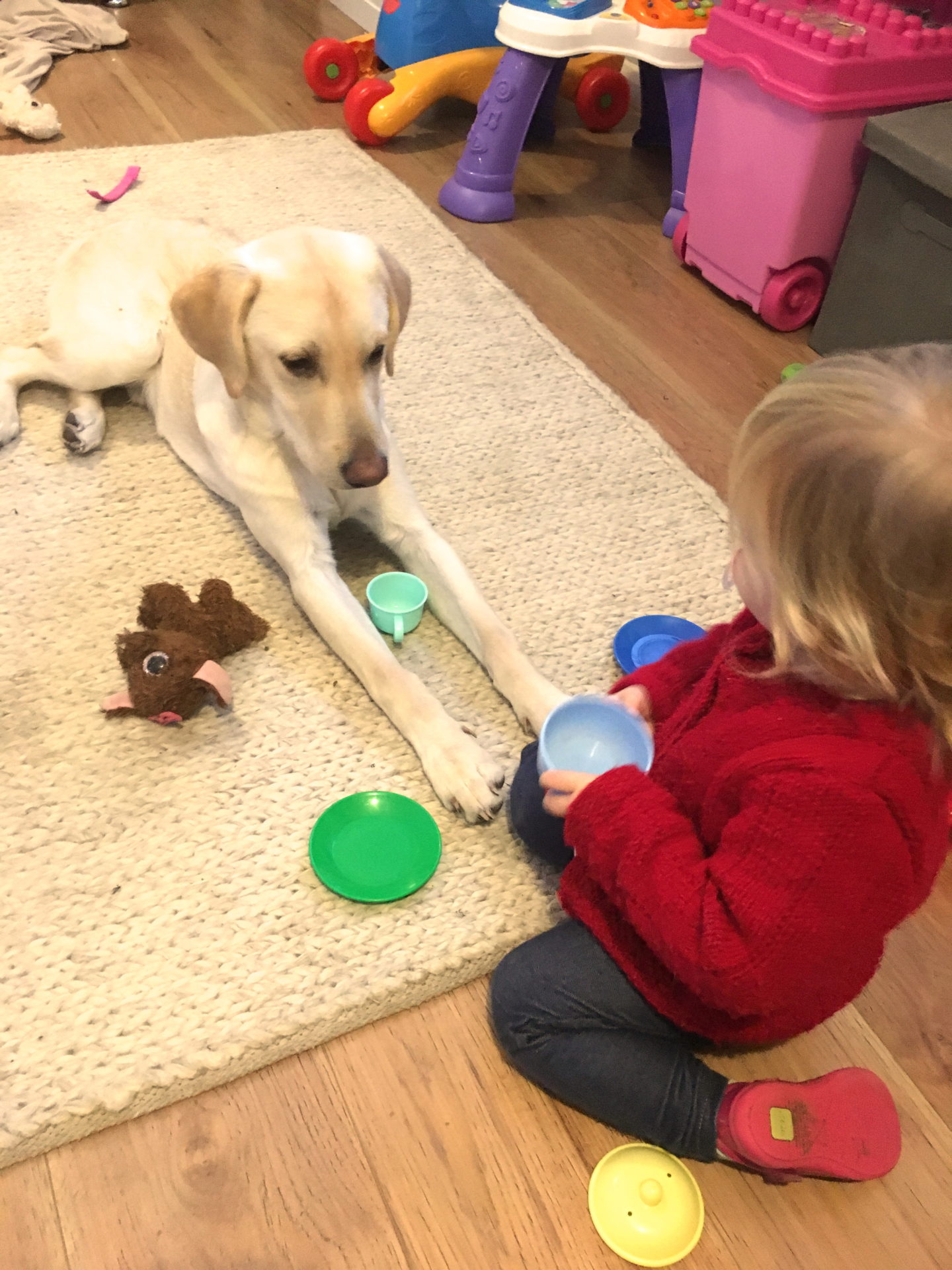 22 months old girl playing tea parties with a yellow labrador