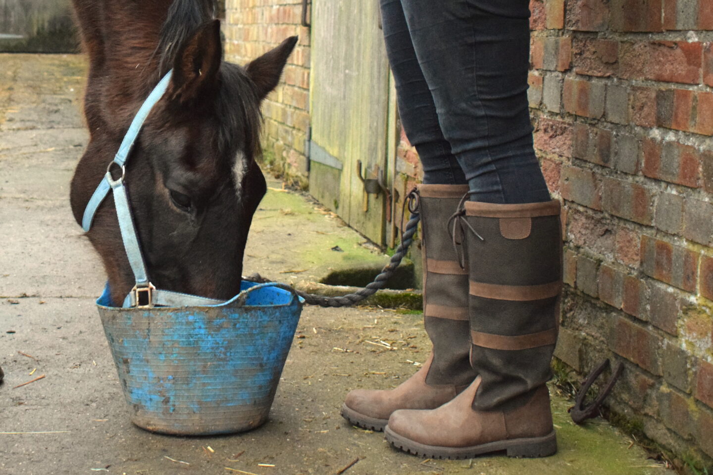 woman's Rydale boots standing next to a horse eating from a bucket
