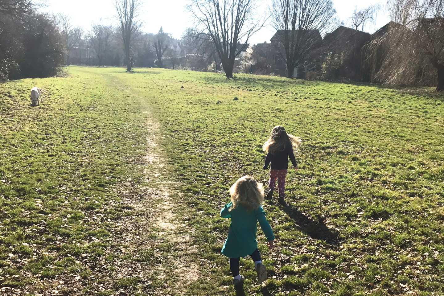 Two sisters running away from camera after a yellow labrador in the sunshine