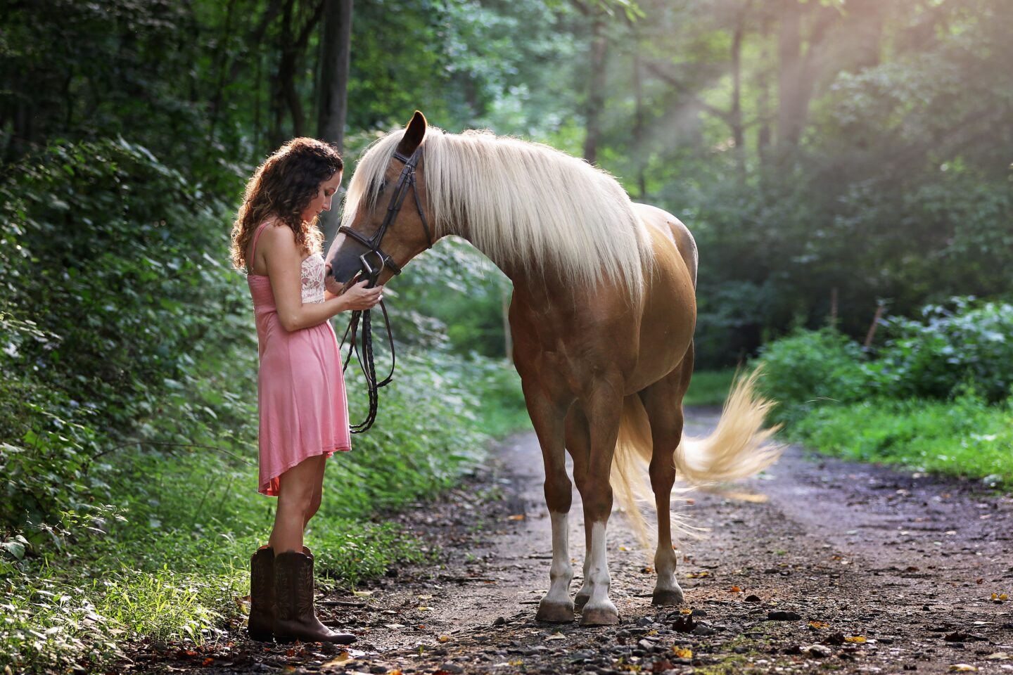 Caring for your first horse