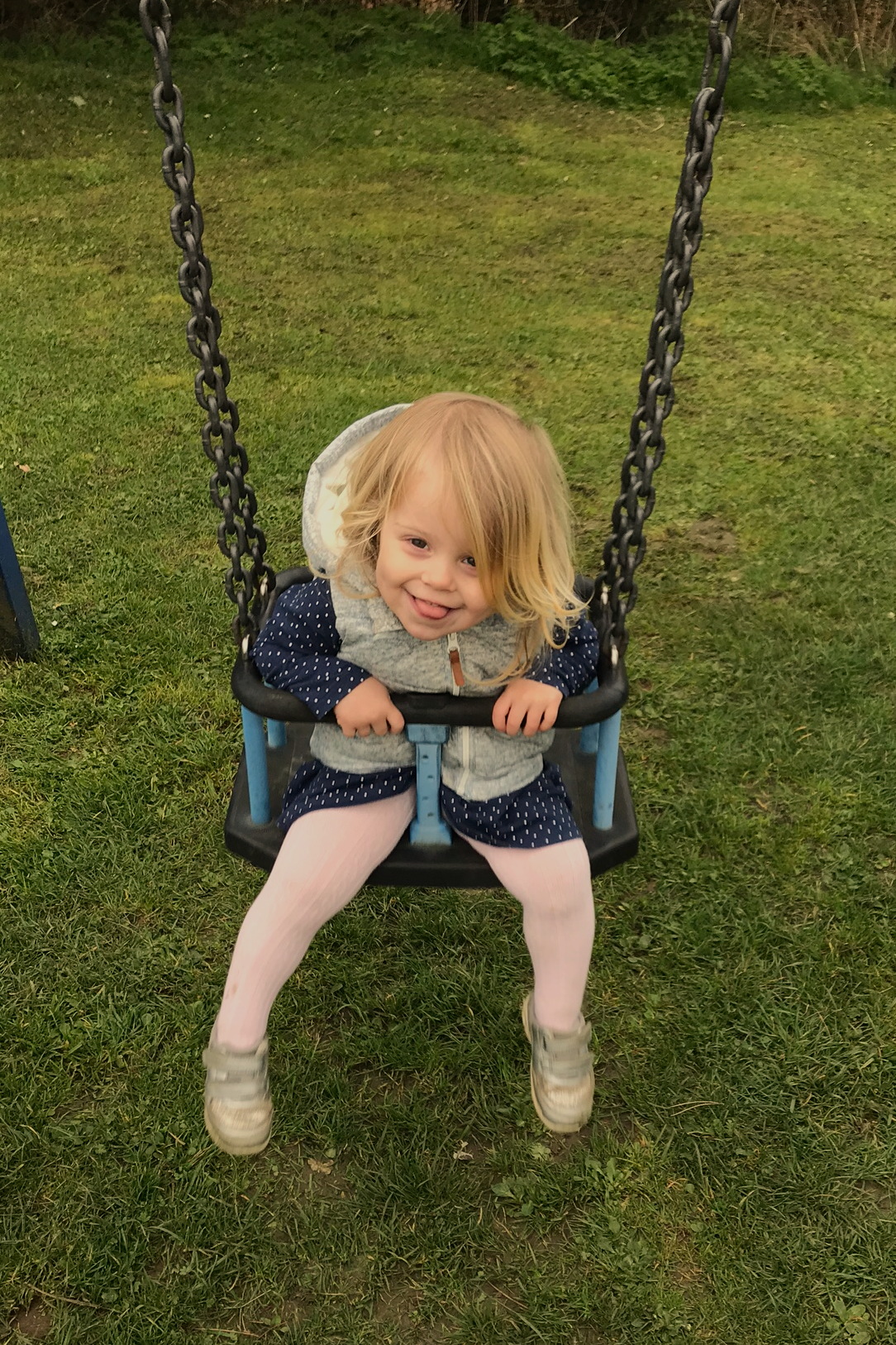 Two year old on a swing