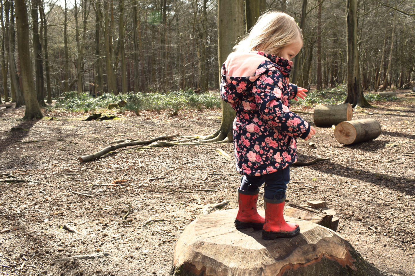 The Gruffalo Trail, Essex, girl standing on tree stump