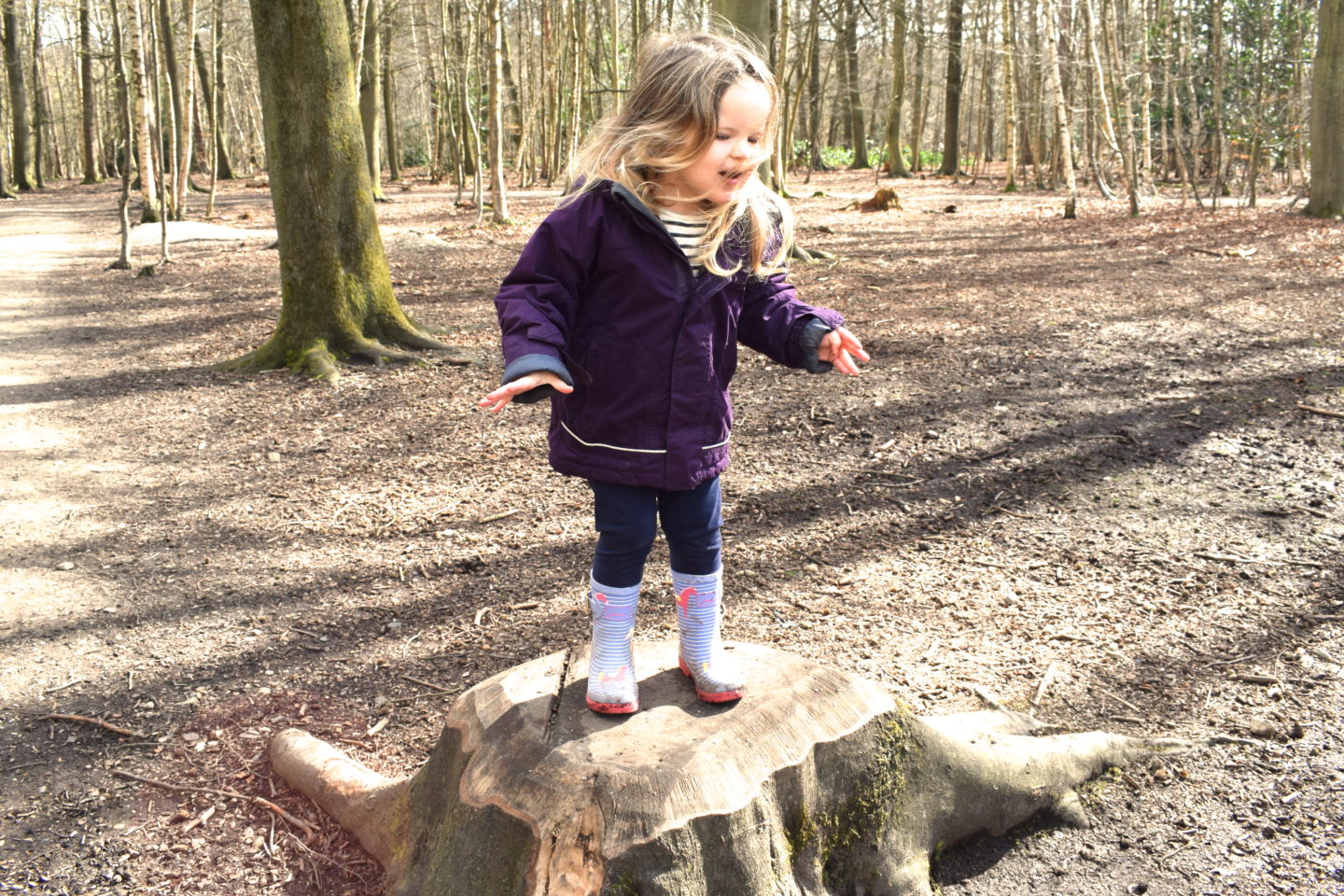 The Gruffalo Trail, Essex, girl playing on tree stump