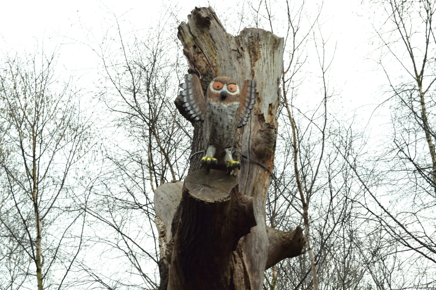 The Gruffalo Trail, Essex owl