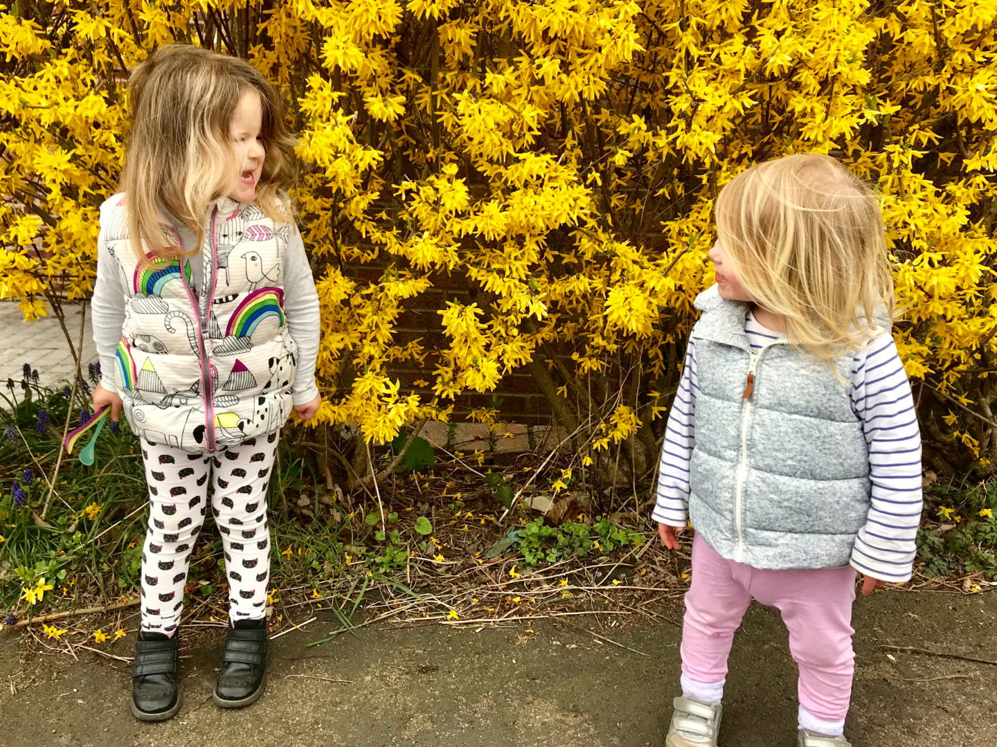 Two sisters standing in front of a yellow flowering bush, looking at one another, giggling
